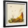 Racimo de Cocos II-Patricia Pinto-Framed Art Print