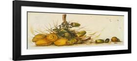 Racimo de Cocos III-Patricia Pinto-Framed Art Print