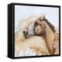 Racin'-Renee Gould-Framed Stretched Canvas