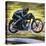 Racing a Velocette-Graham Coton-Stretched Canvas