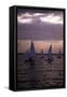 Racing at Sunset, C.1990-null-Framed Stretched Canvas