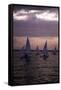 Racing at Sunset, C.1990-null-Framed Stretched Canvas