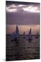 Racing at Sunset, C.1990-null-Mounted Photographic Print
