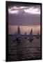 Racing at Sunset, C.1990-null-Framed Photographic Print