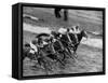 Racing at the Annual Horse Show at Hippodrome Stadium-null-Framed Stretched Canvas