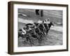 Racing at the Annual Horse Show at Hippodrome Stadium-null-Framed Photographic Print