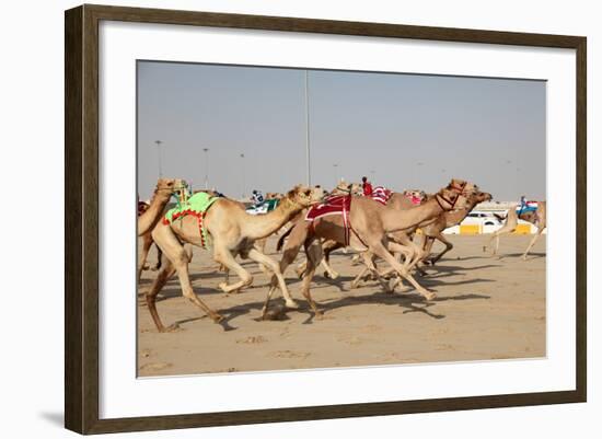 Racing Camels with a Robot Jockeys, Dubai, United Arab Emirates-Philip Lange-Framed Photographic Print