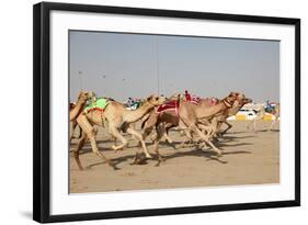 Racing Camels with a Robot Jockeys, Dubai, United Arab Emirates-Philip Lange-Framed Photographic Print