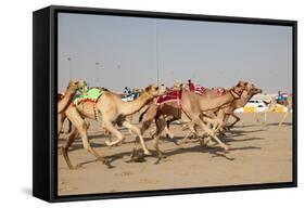 Racing Camels with a Robot Jockeys, Dubai, United Arab Emirates-Philip Lange-Framed Stretched Canvas