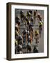 Racing Cyclists-null-Framed Photographic Print