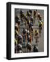 Racing Cyclists-null-Framed Photographic Print