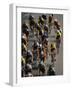 Racing Cyclists-null-Framed Photographic Print