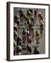 Racing Cyclists-null-Framed Photographic Print