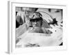 Racing Driver Fangio Here at the Wheel During Race in Monza June 28, 1958-null-Framed Photo