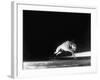 Racing Greyhound Captured at Full Speed by High Speed Camera in Race at Wonderland Park-Gjon Mili-Framed Photographic Print