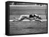 Racing Greyhound Wild Wolf-null-Framed Stretched Canvas