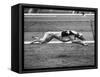 Racing Greyhound Wild Wolf-null-Framed Stretched Canvas