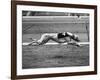 Racing Greyhound Wild Wolf-null-Framed Photographic Print