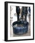 Racing Horse Kinetic Yankee is Cooled off-null-Framed Photographic Print