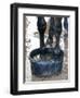 Racing Horse Kinetic Yankee is Cooled off-null-Framed Photographic Print