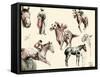Racing Horses I-C.W. Anderson-Framed Stretched Canvas