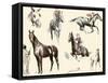 Racing Horses II-C.W. Anderson-Framed Stretched Canvas