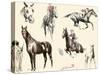 Racing Horses II-C.W. Anderson-Stretched Canvas