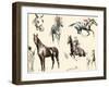Racing Horses II-C.W. Anderson-Framed Art Print