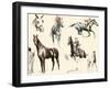 Racing Horses II-C.W. Anderson-Framed Art Print