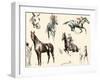 Racing Horses II-C.W. Anderson-Framed Art Print
