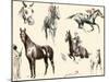 Racing Horses II-C.W. Anderson-Mounted Art Print