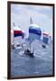 Racing on Biscayne Bay, C.1990-null-Framed Premium Photographic Print