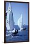 Racing on Biscayne Bay, C.1990-null-Framed Photographic Print