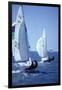 Racing on Biscayne Bay, C.1990-null-Framed Photographic Print