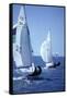 Racing on Biscayne Bay, C.1990-null-Framed Stretched Canvas