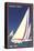 Racing Sailboats, Santa Cruz, California-null-Framed Stretched Canvas