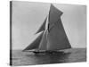 Racing Sloop in Full Sail-N.L. Stebbins-Stretched Canvas