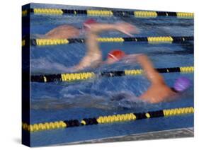 Racing Swimmers-null-Stretched Canvas