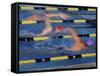 Racing Swimmers-null-Framed Stretched Canvas