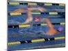 Racing Swimmers-null-Mounted Photographic Print