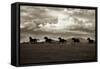 Racing the Clouds-Lisa Dearing-Framed Stretched Canvas