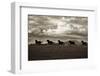 Racing the Clouds-Lisa Dearing-Framed Photographic Print