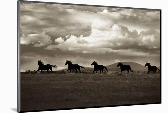 Racing the Clouds-Lisa Dearing-Mounted Photographic Print
