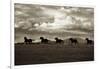 Racing the Clouds-Lisa Dearing-Framed Photographic Print