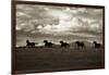 Racing the Clouds-Lisa Dearing-Framed Photographic Print