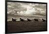 Racing the Clouds-Lisa Dearing-Framed Photographic Print