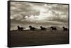 Racing the Clouds-Lisa Dearing-Framed Stretched Canvas