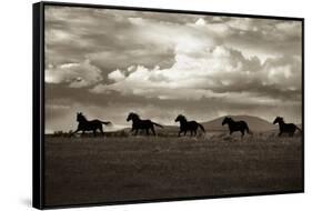 Racing the Clouds-Lisa Dearing-Framed Stretched Canvas