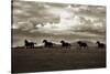 Racing the Clouds-Lisa Dearing-Stretched Canvas