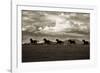 Racing the Clouds-Lisa Dearing-Framed Photographic Print